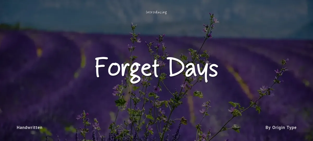 Forget Days font preview