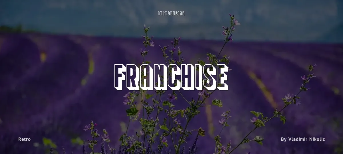 Franchise font preview