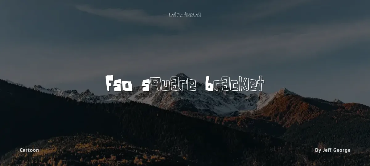 FSO Square Bracket font preview