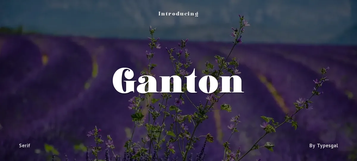 Ganton font preview