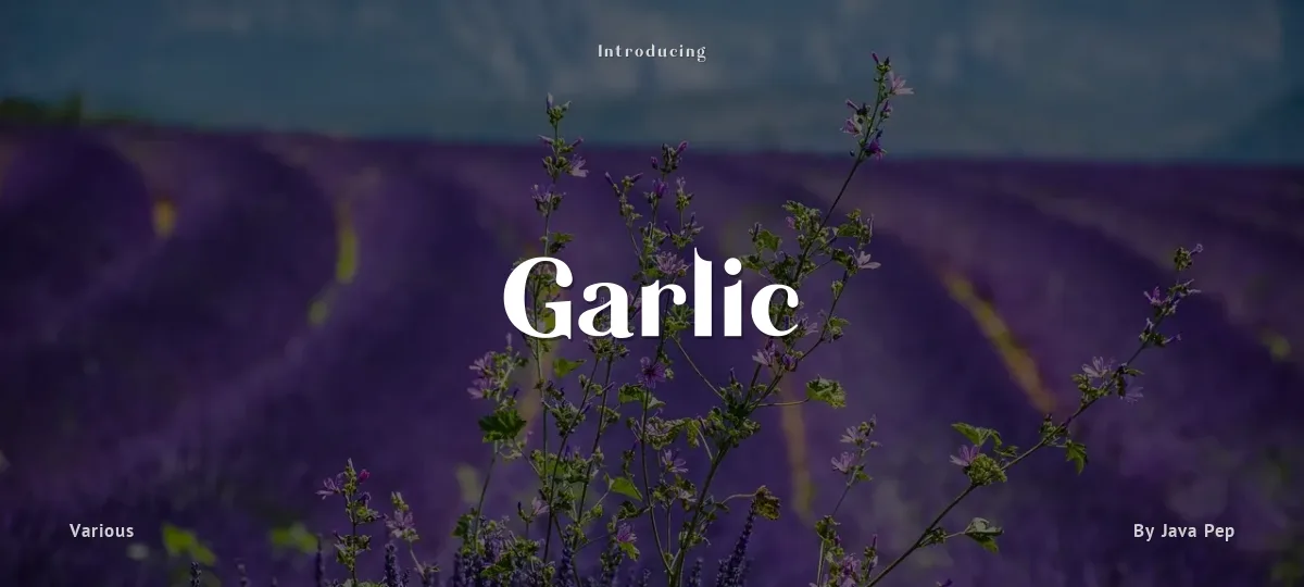 Garlic font preview