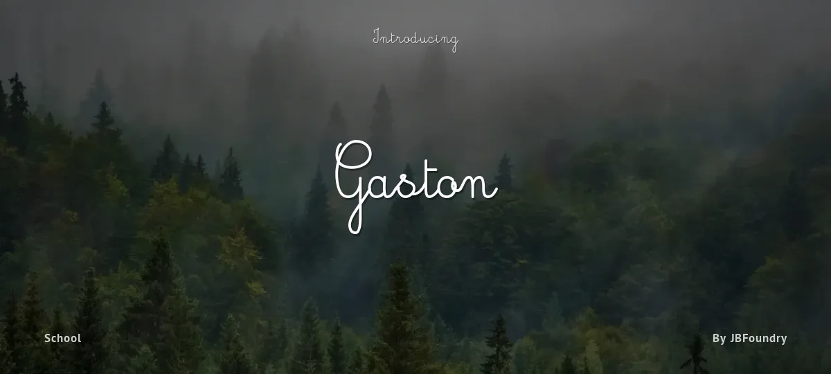 Gaston font preview