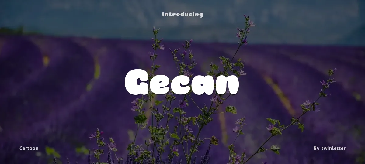 Gecan font preview