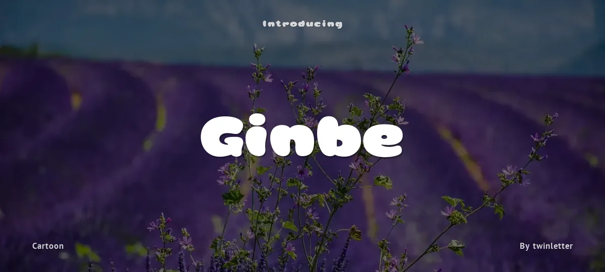 Ginbe font preview