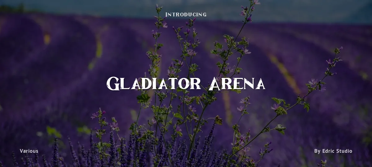 Gladiator Arena font preview