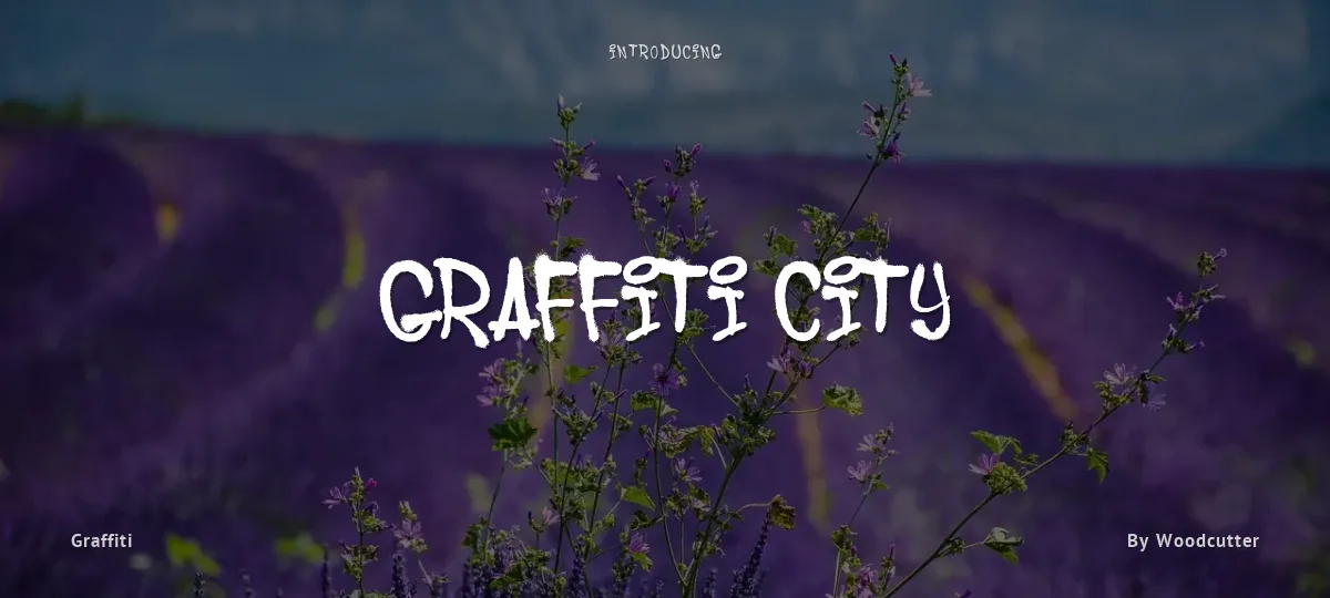 Graffiti City font preview
