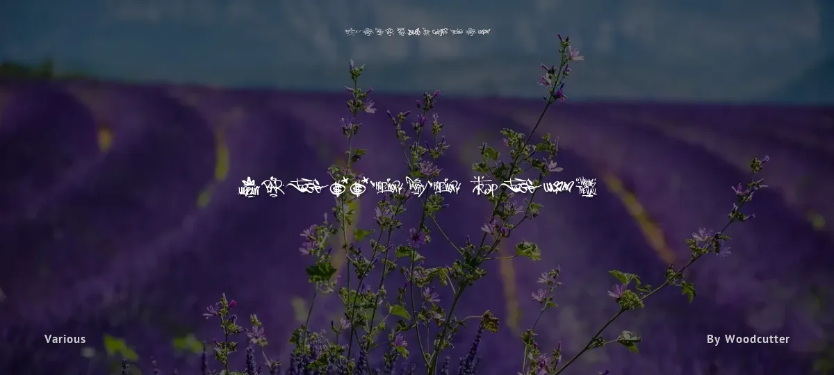 Graffiti Tags font preview