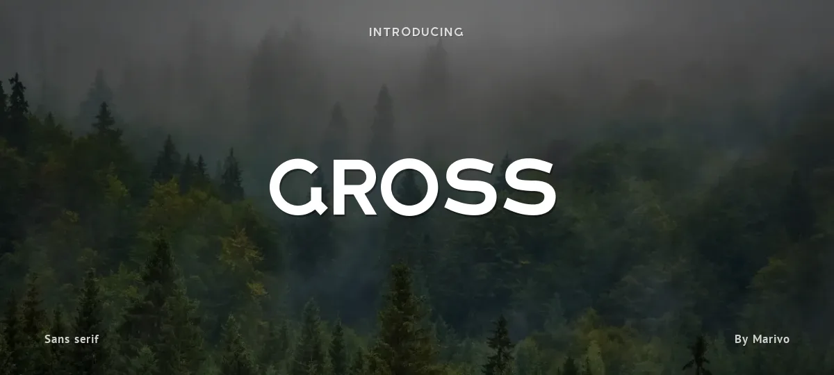 Gross font preview