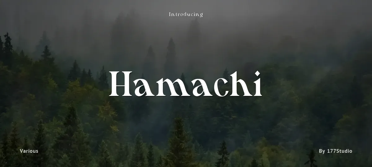 Hamachi font preview