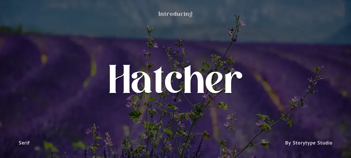 Hatcher font preview