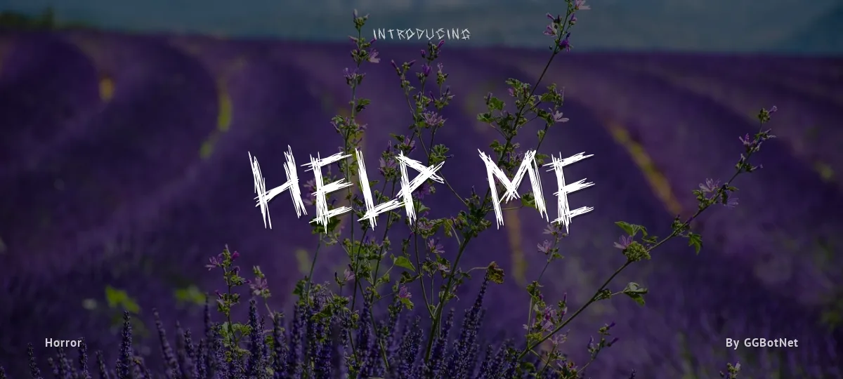 Help Me font preview