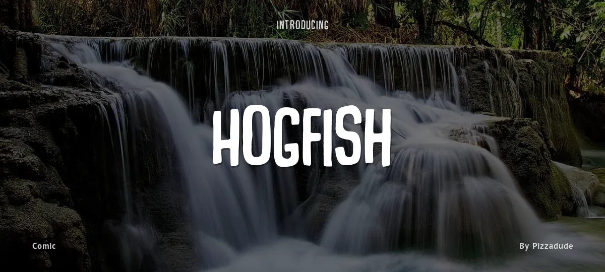 Hogfish font preview