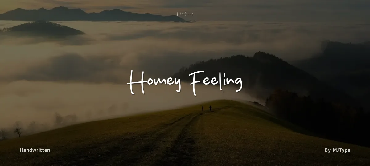 Homey Feeling font preview