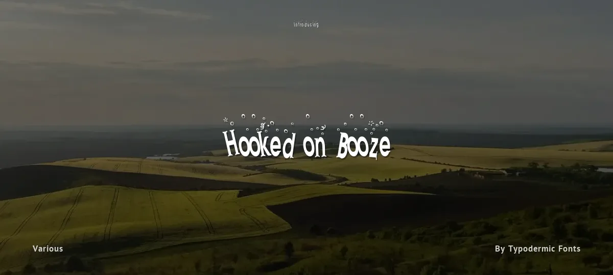 Hooked on Booze font preview