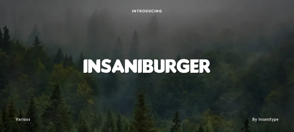 Insaniburger font preview