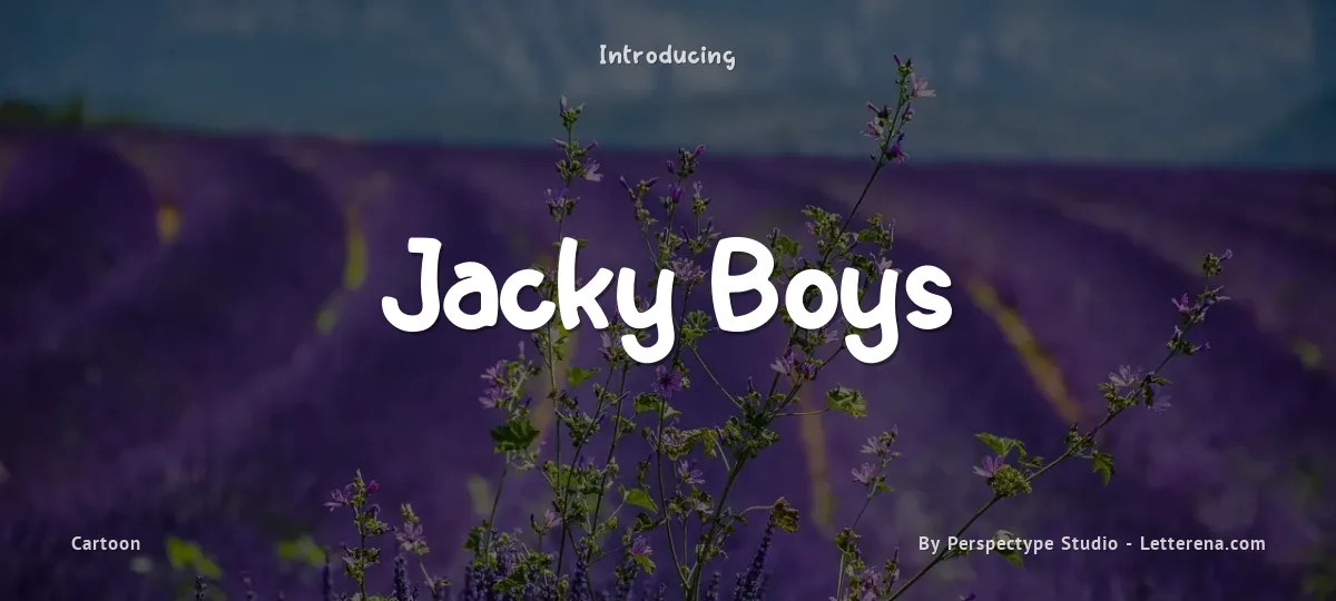 Jacky Boys font preview