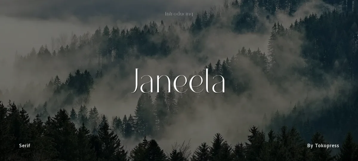 Janeeta font preview