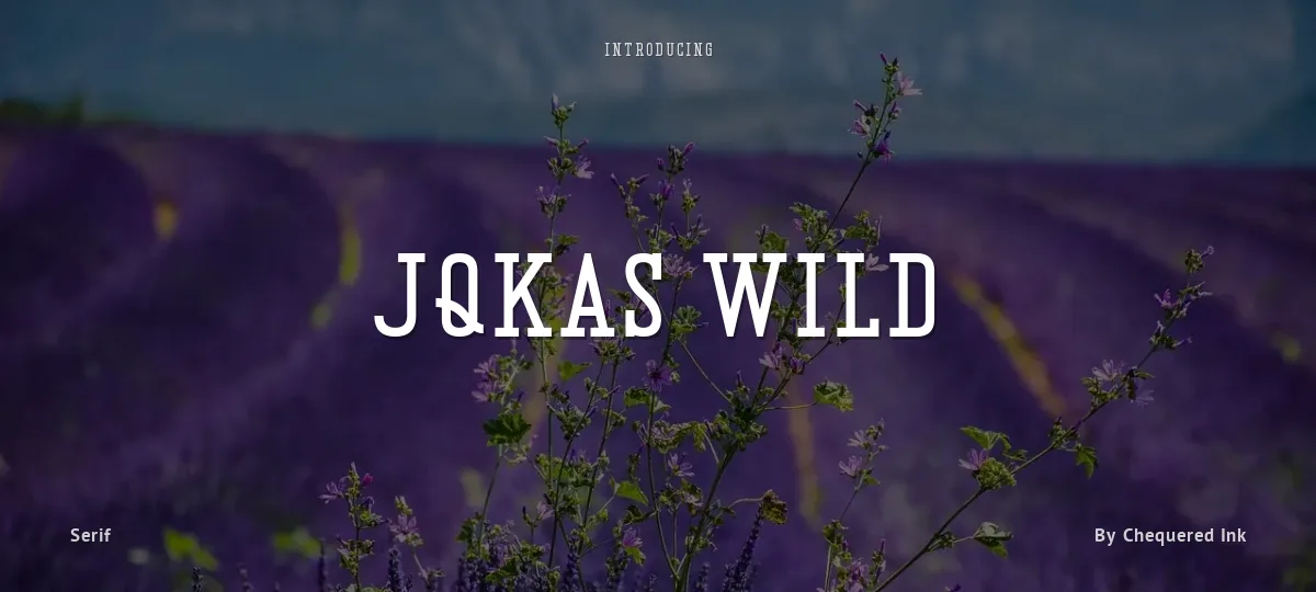 JQKAs Wild font preview