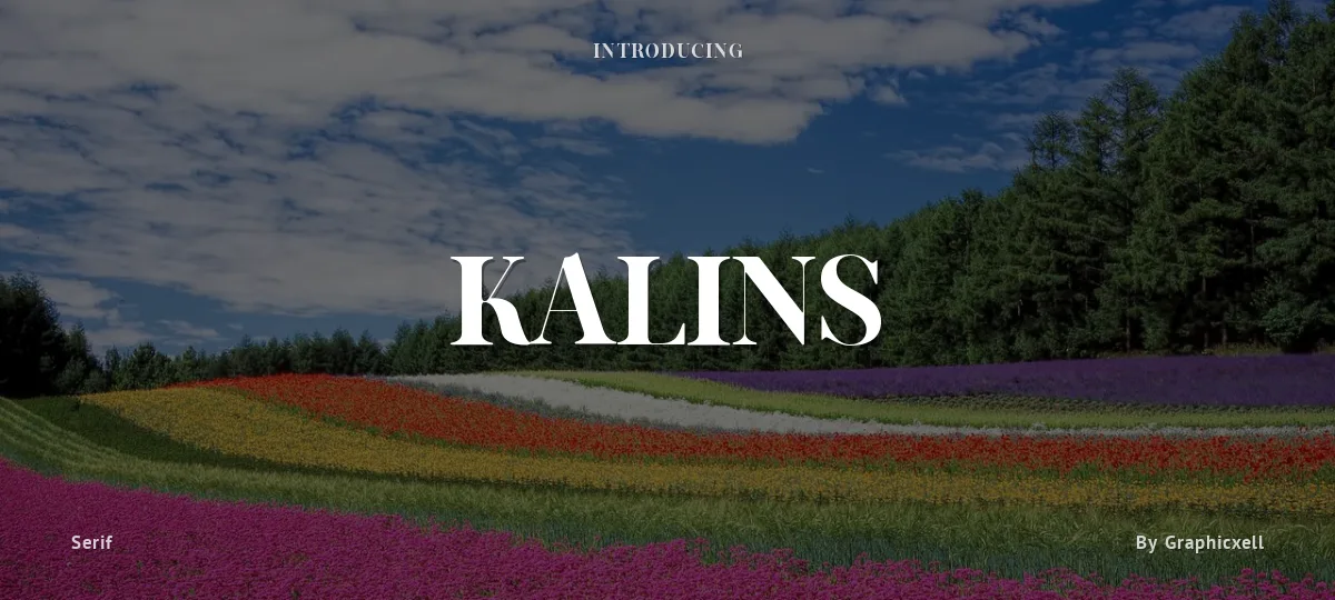 Kalins font preview