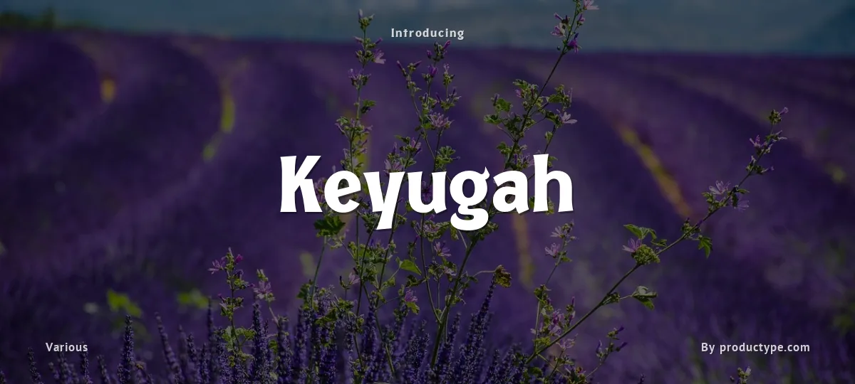 Keyugah font preview