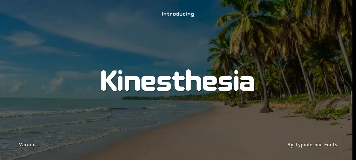 Kinesthesia font preview
