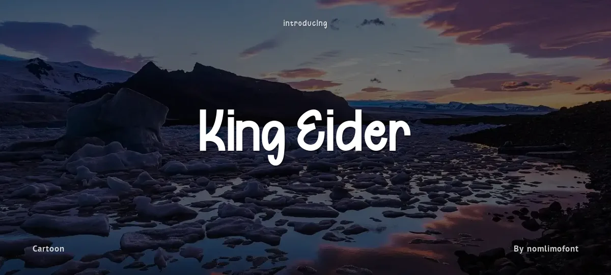 King Eider font preview