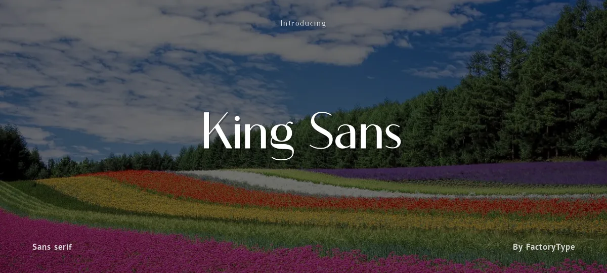 King Sans font preview