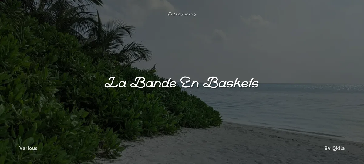 La Bande En Baskets font preview