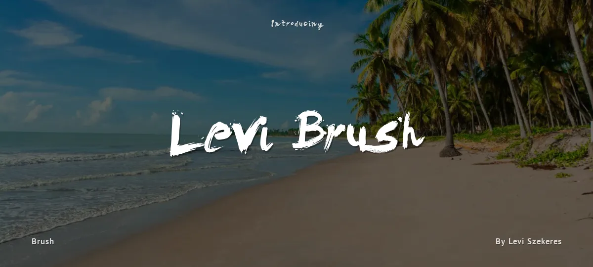 Levi Brush font preview