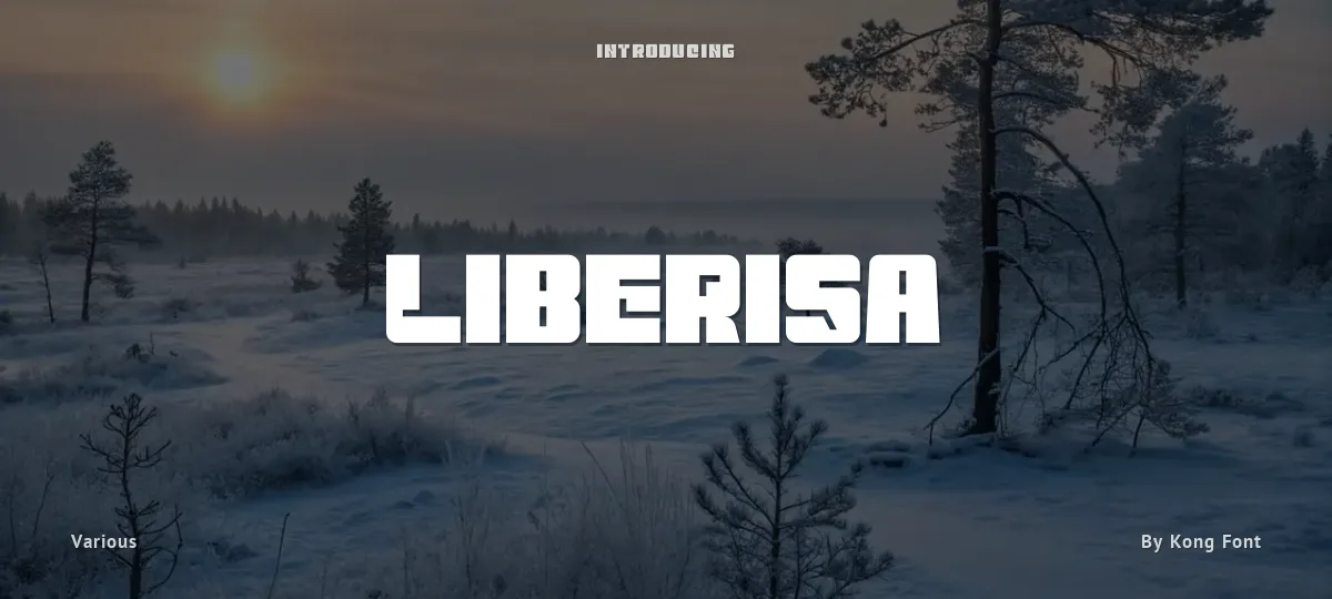 Liberisa font preview