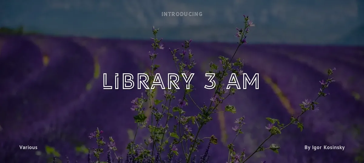 Library 3 am font preview