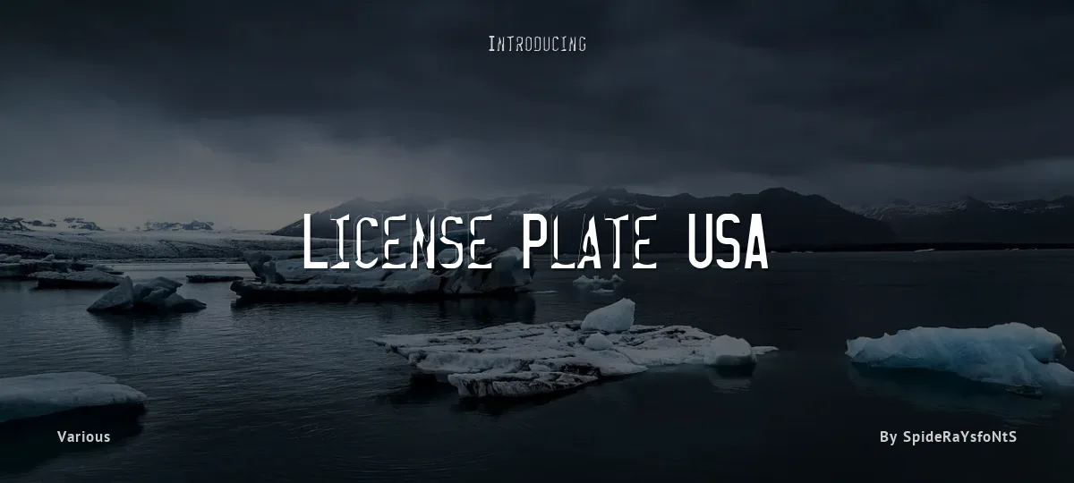 License Plate USA font preview