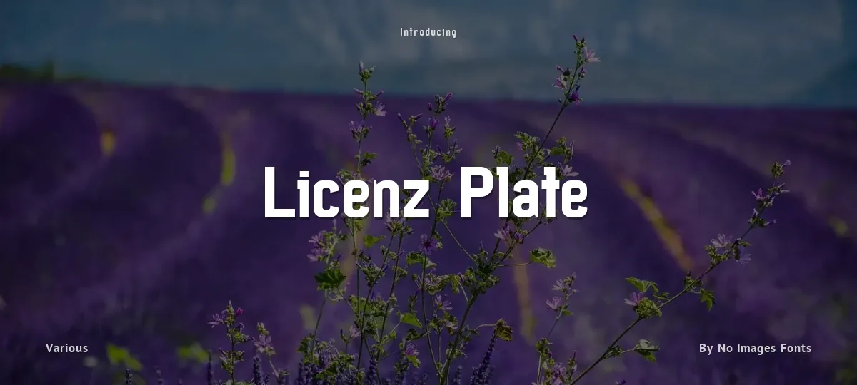 Licenz Plate font preview