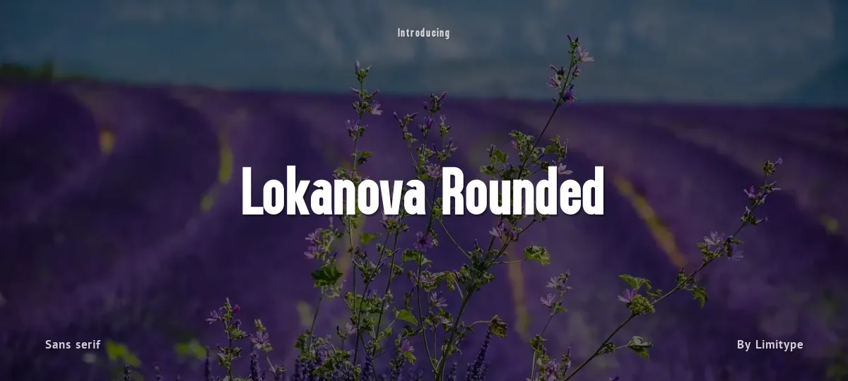 Lokanova Rounded font preview