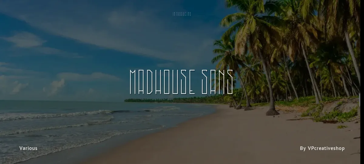 MadHouse Sans font preview