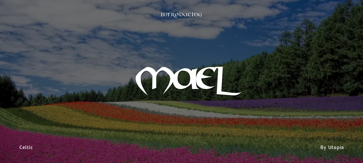 Mael font preview