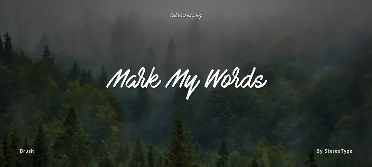 Mark My Words font preview