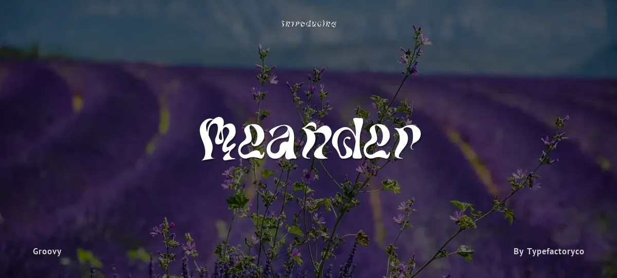 Meander font preview