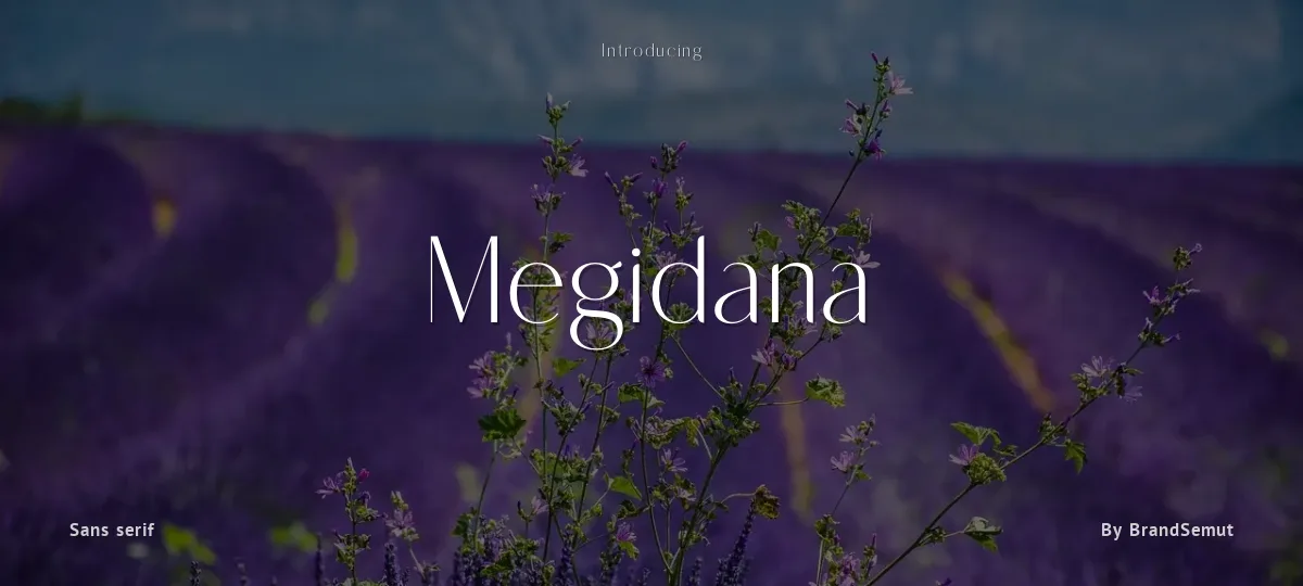 Megidana font preview