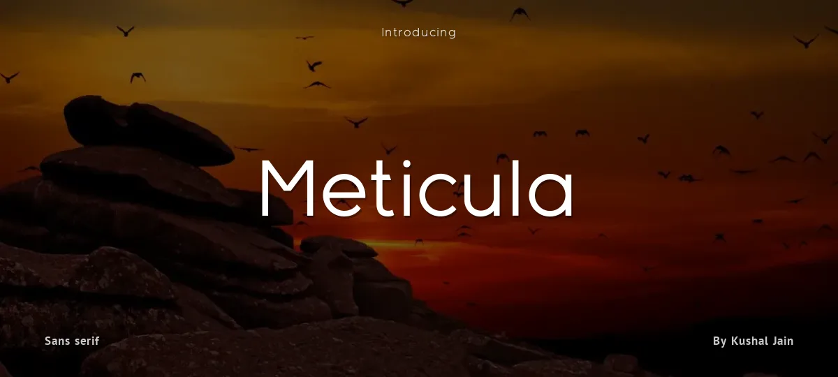 Meticula font preview