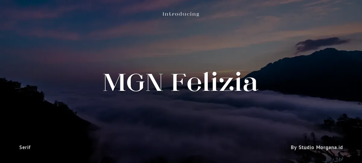 MGN Felizia font preview