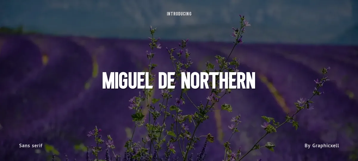 Miguel De Northern font preview