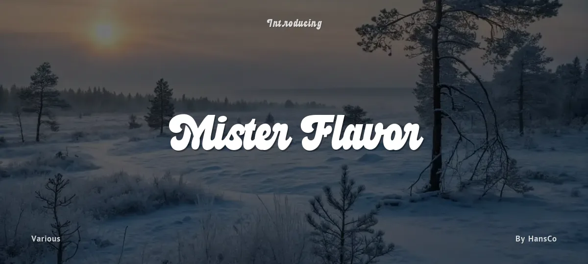 Mister Flavor font preview