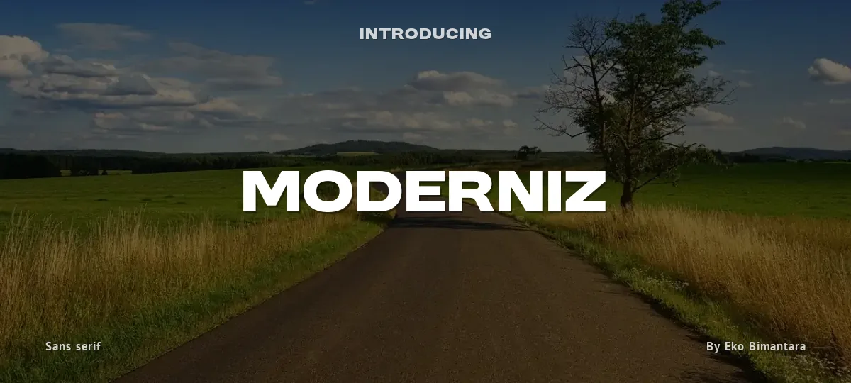 Moderniz font preview