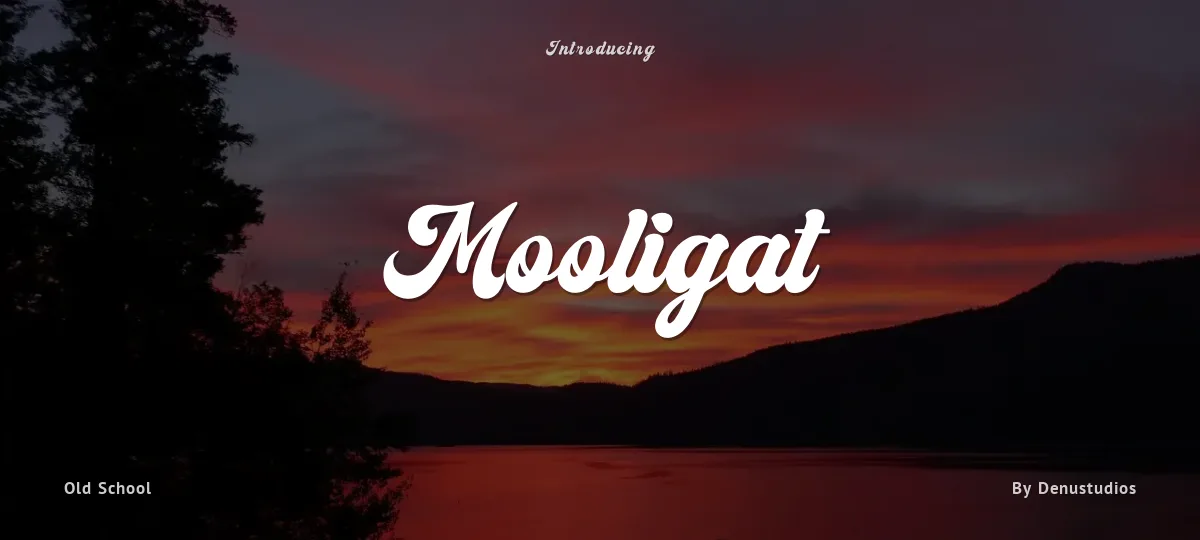 Mooligat font preview
