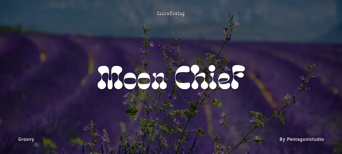 Moon Chief font preview