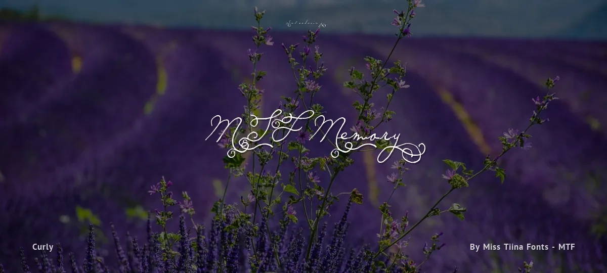 MTF Memory font preview