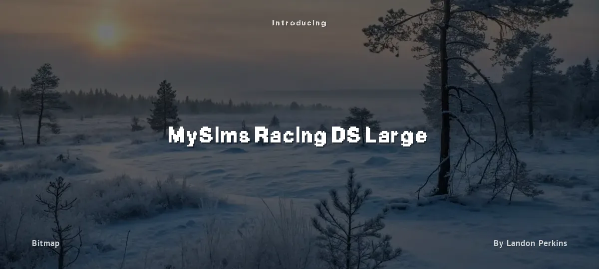 MySims Racing DS Large font preview