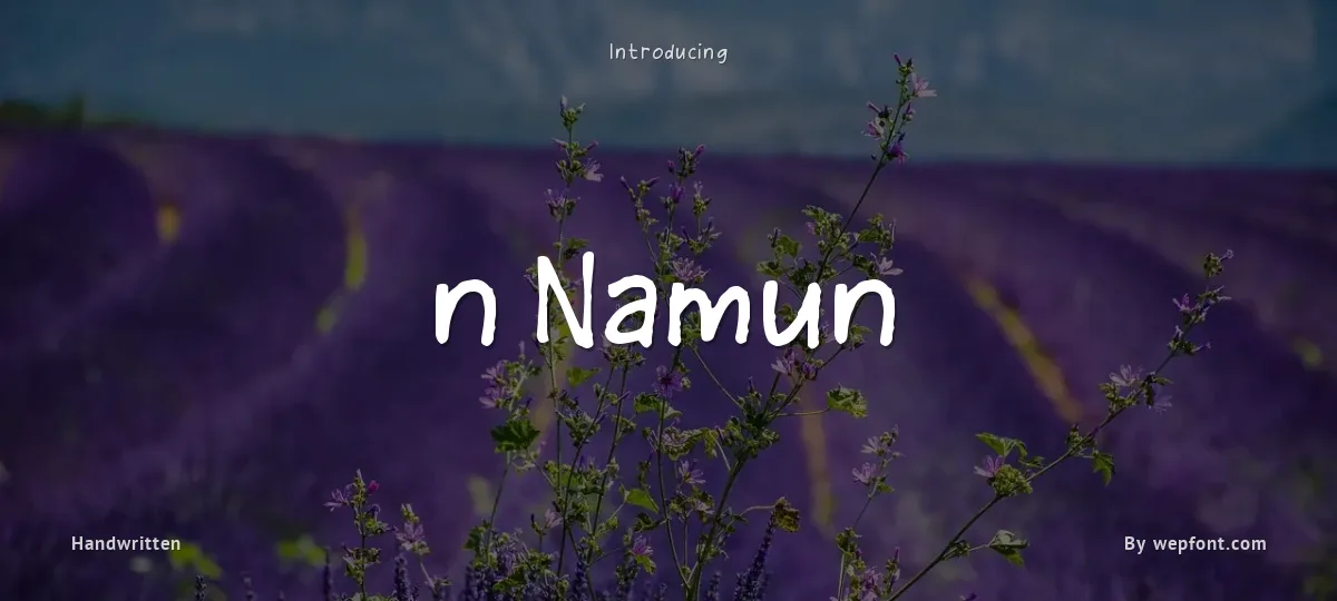 n Namun font preview