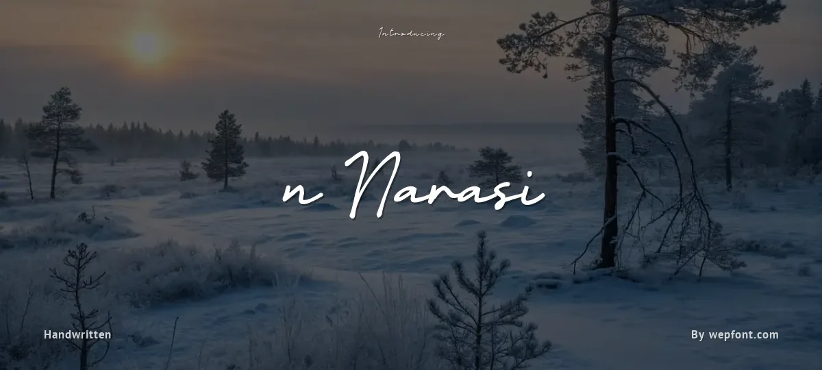n Narasi font preview